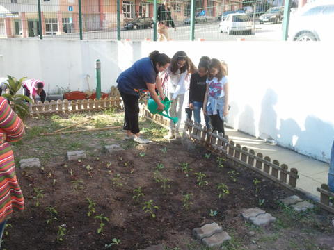 Depois de terem sido feitas as sementeiras em sala de aula os alunos deslocaram-se à horta pata transplantarem os produtos que haviam semeado...